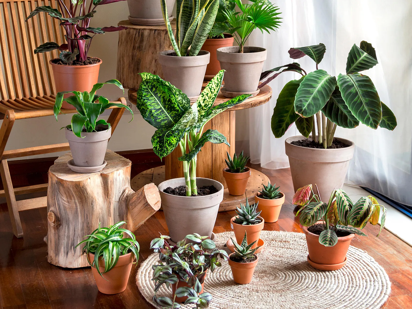 12 Best Miracle-Gro Alternatives You Should Know