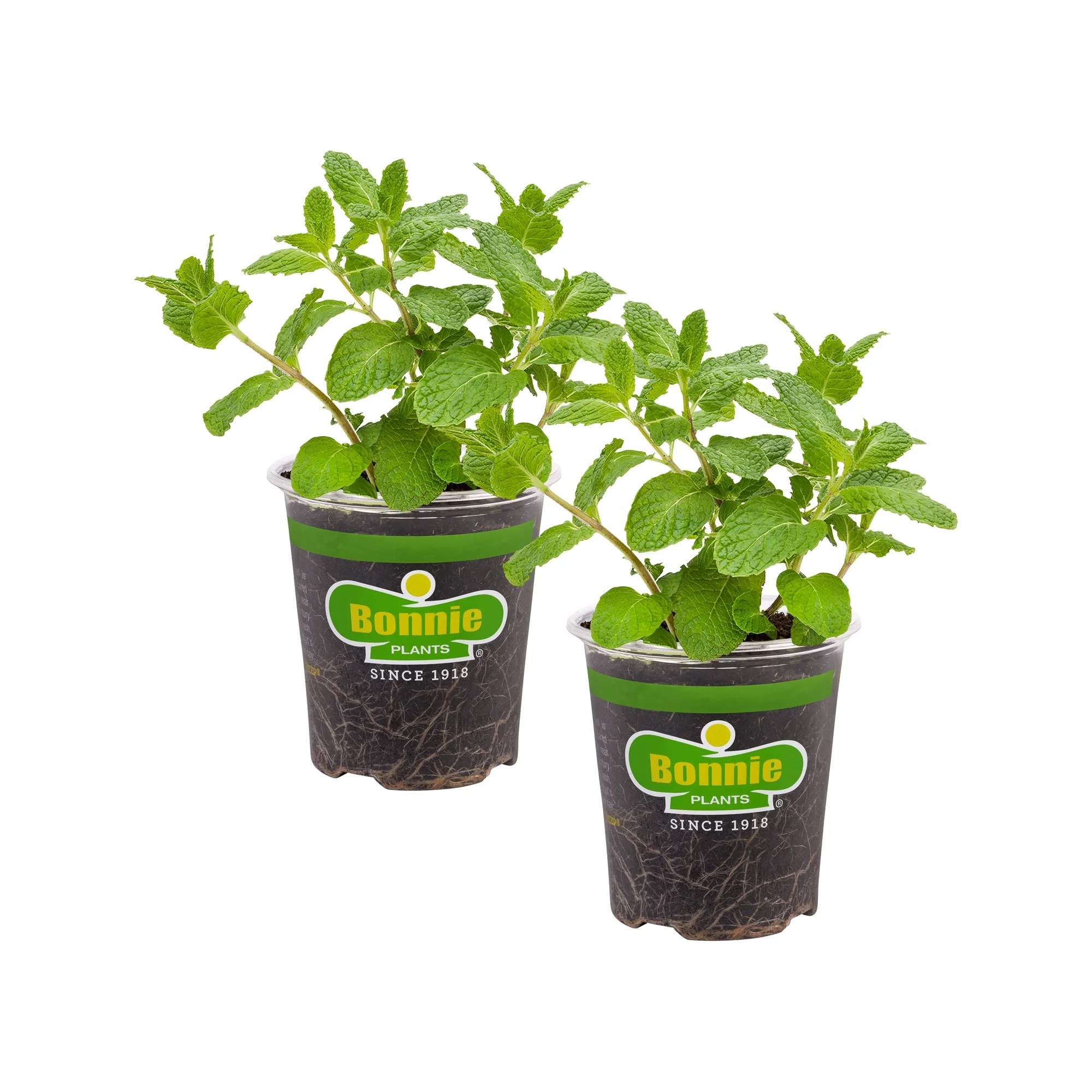 Are Bonnie Plants Organic?
