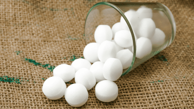 Will Mothballs Keep Squirrels Away From My Home And Garden?