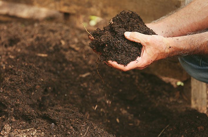 How Much Compost to Mix with Soil