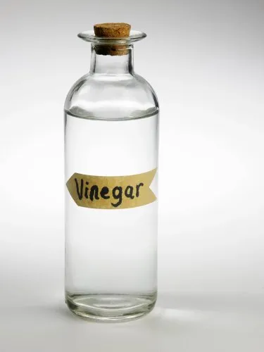 Will Vinegar Kill Succulents?