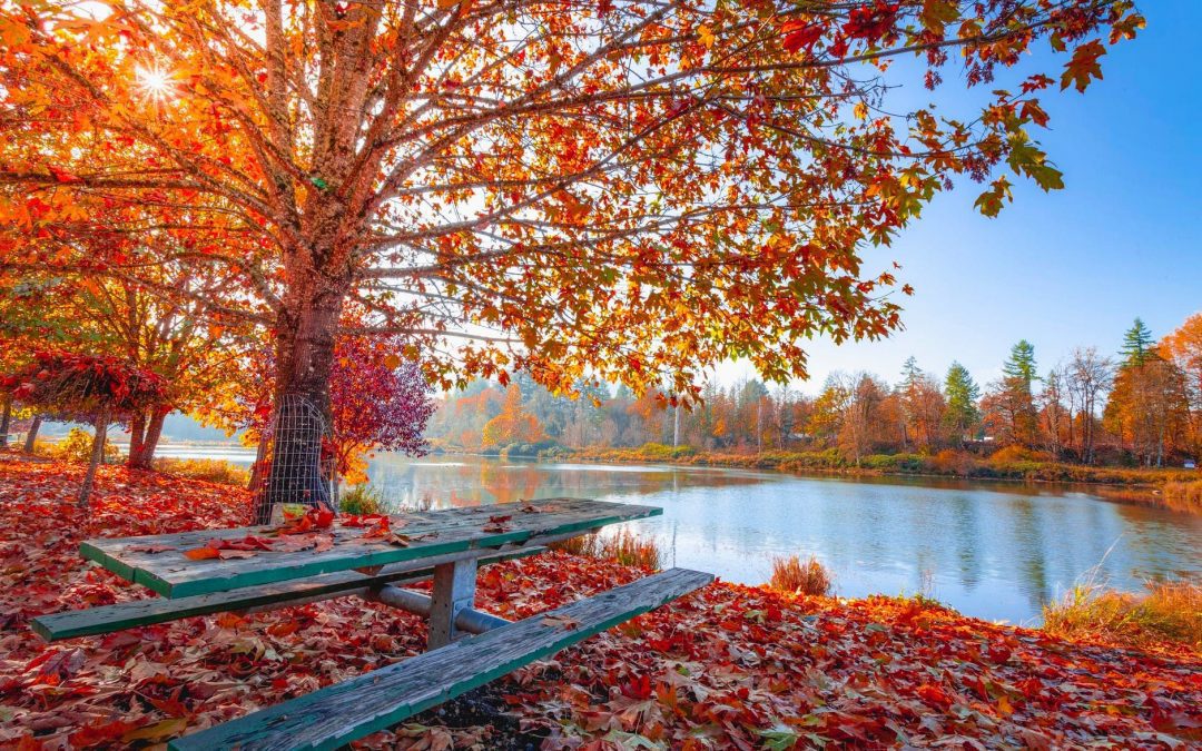7 Benefits Of A Fall Garden
