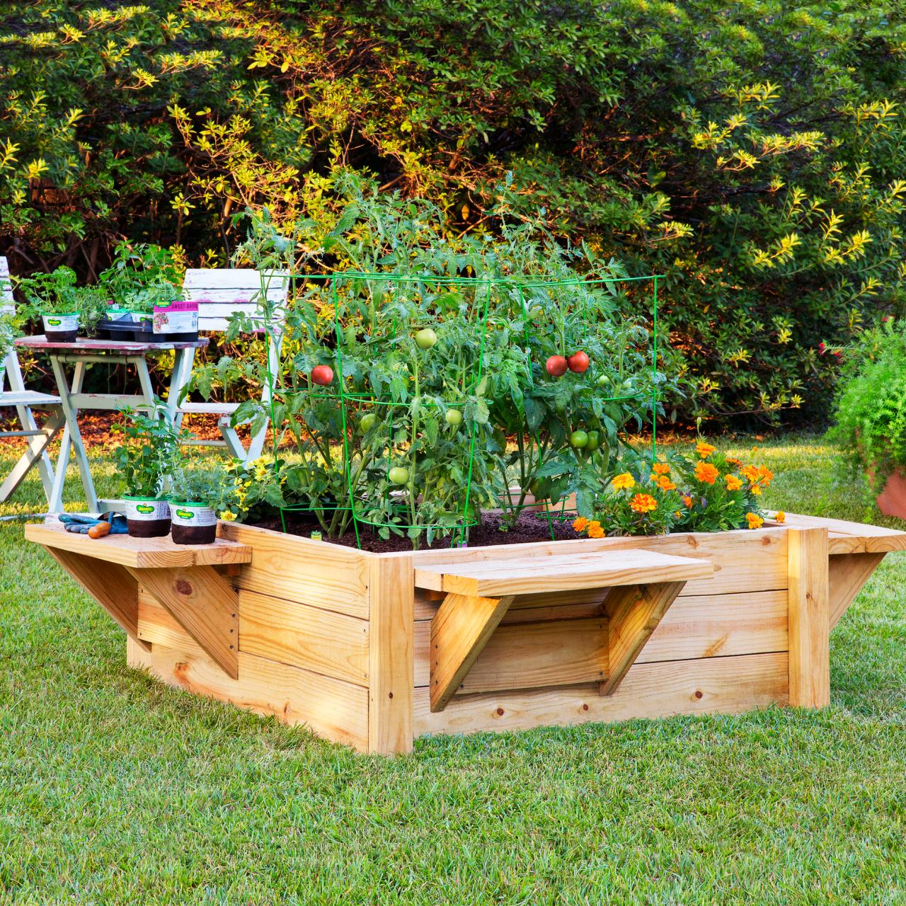 Best Wood For Raised Garden Beds