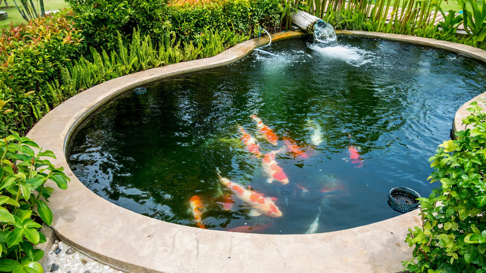 8 Amazing Ideas What to Replace a Pond With (Images)