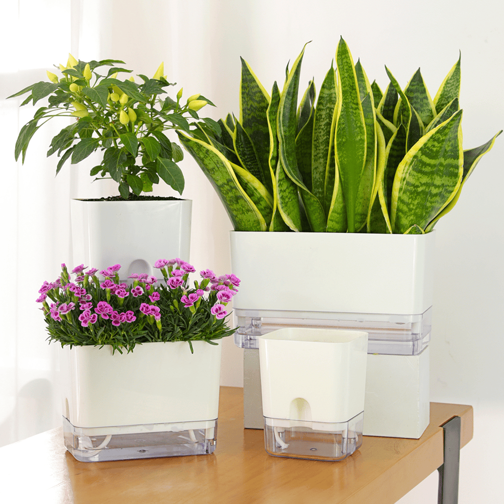 Locaupin Magnetic Water Bottom Storage Basin Self Watering System Plan