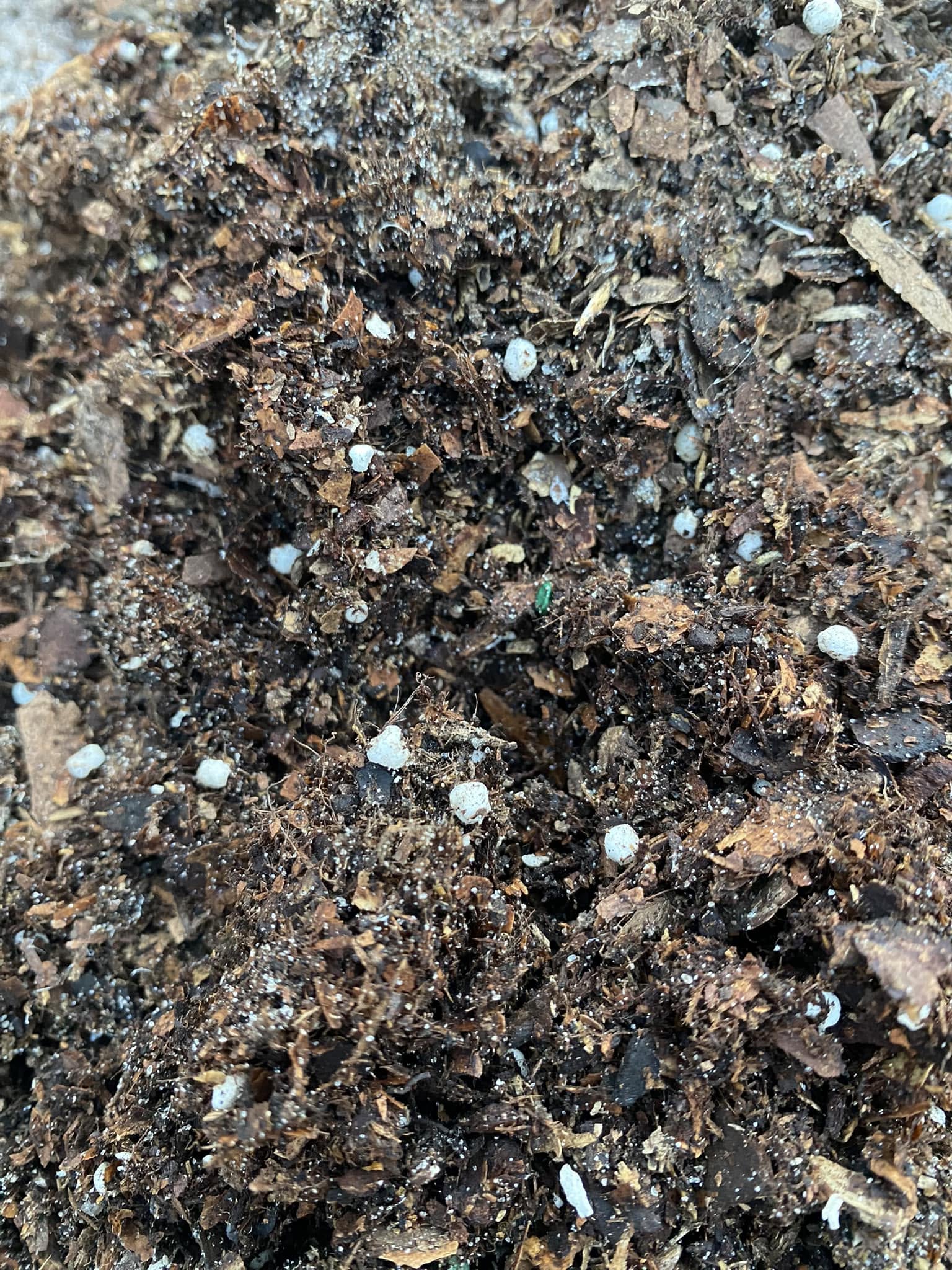 Styrofoam
