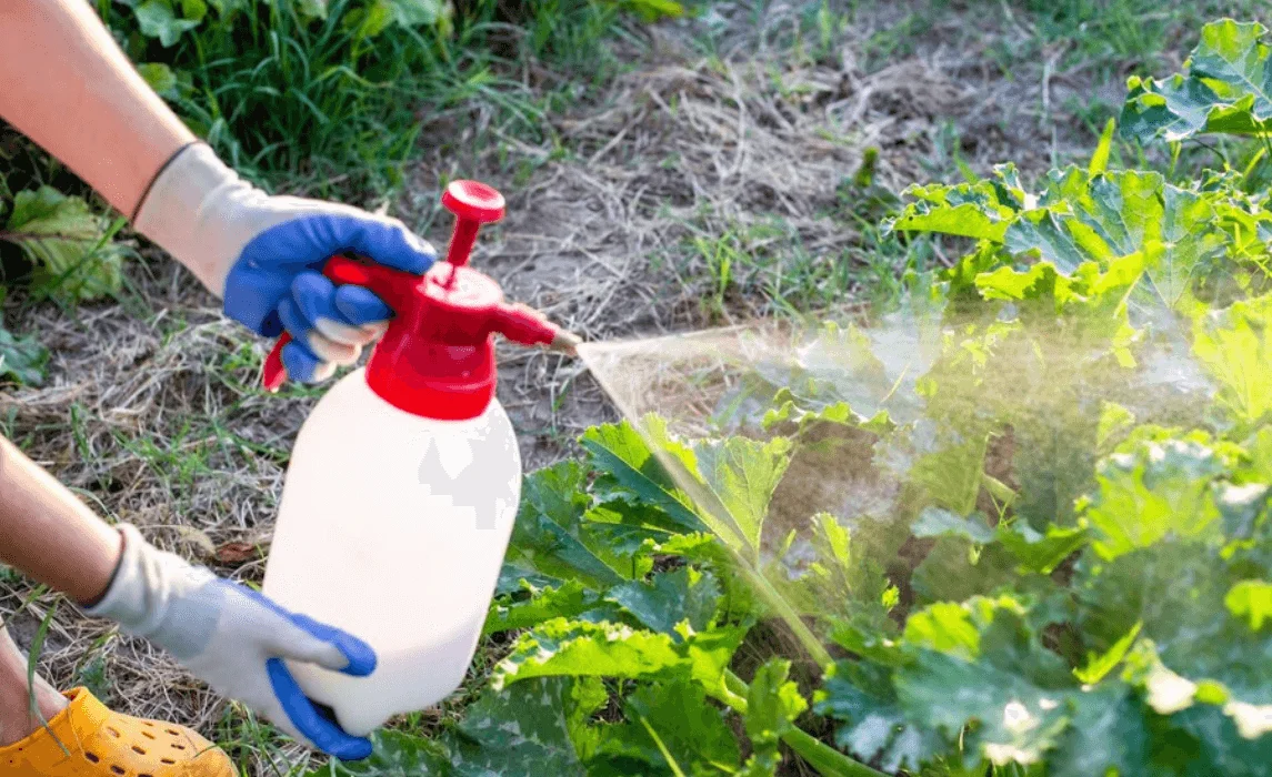 Natural Garden Pest Control: Effective Organic Strategies for Pest Control in Your Garden | Seedling Squad