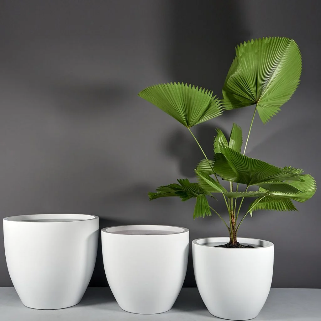 Plants