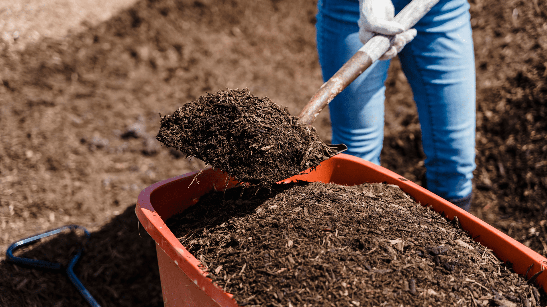 Mulch