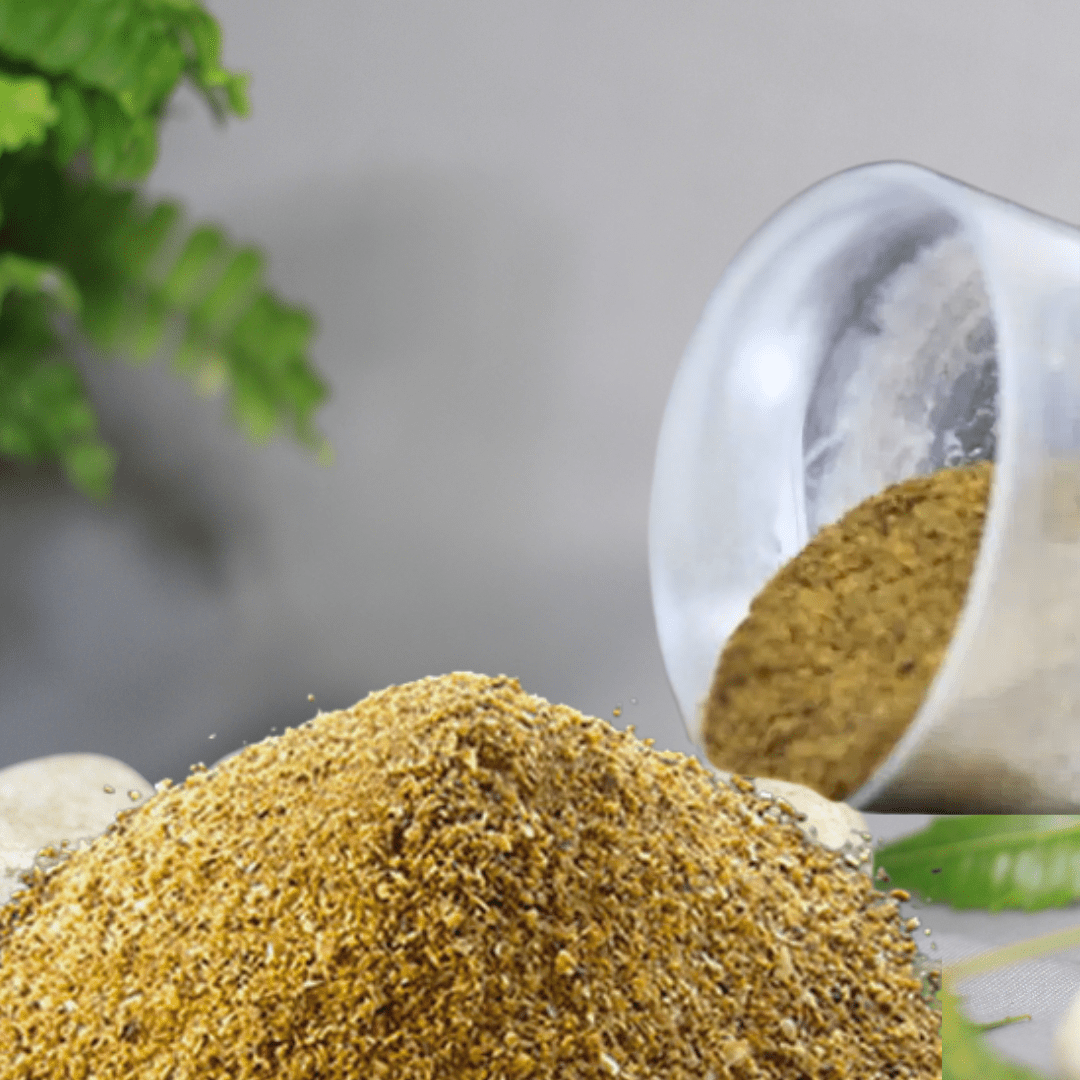 Bone Meal Powder – Lalit Enterprise