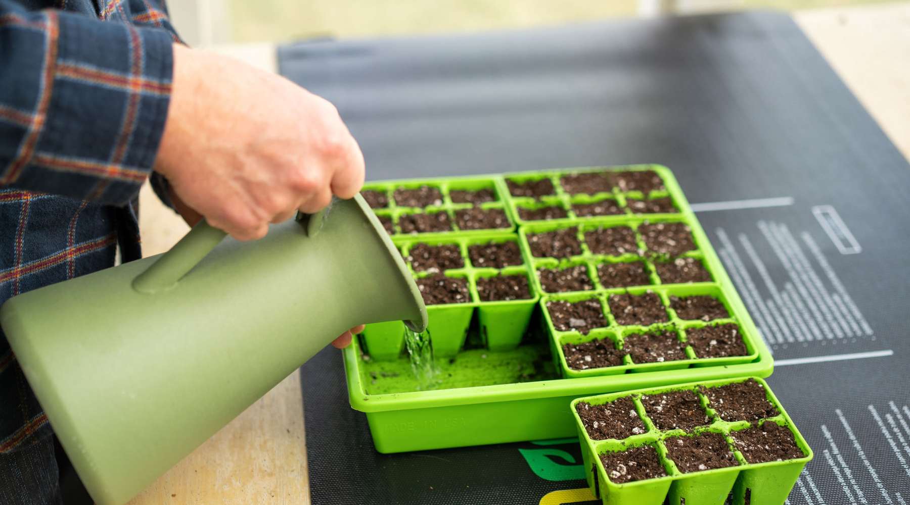 Bottom Watering Seedlings