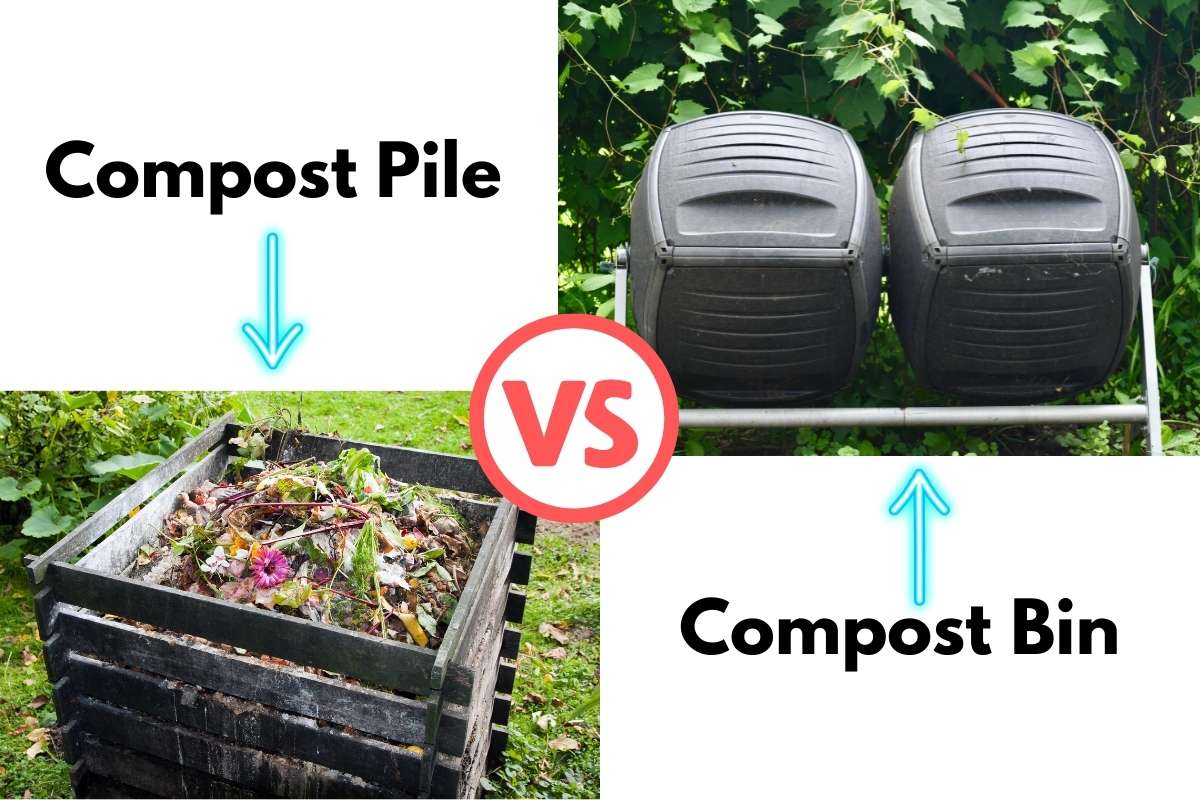 Compost Pile Vs. a Compost Bin