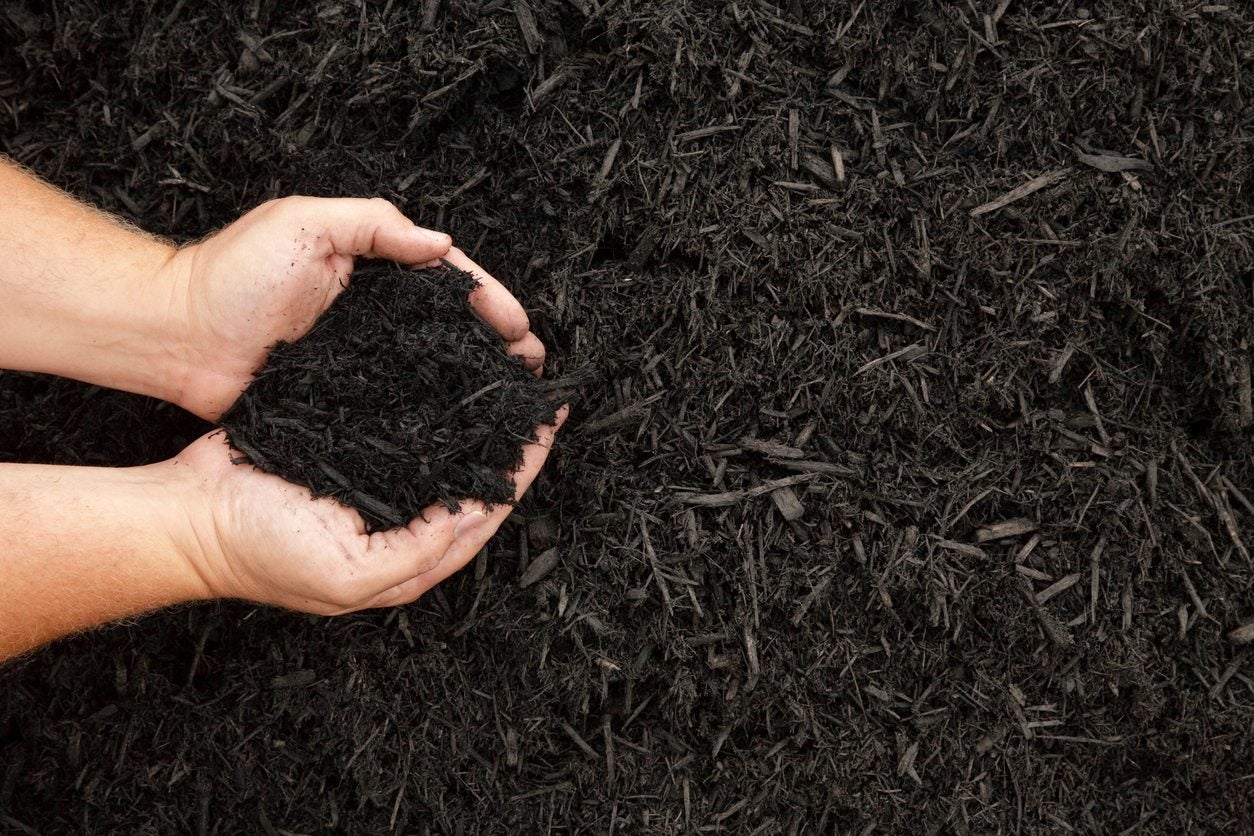 Using Organic Mulch In Gardens - Types Of Natural Mulch | Gardening Know How