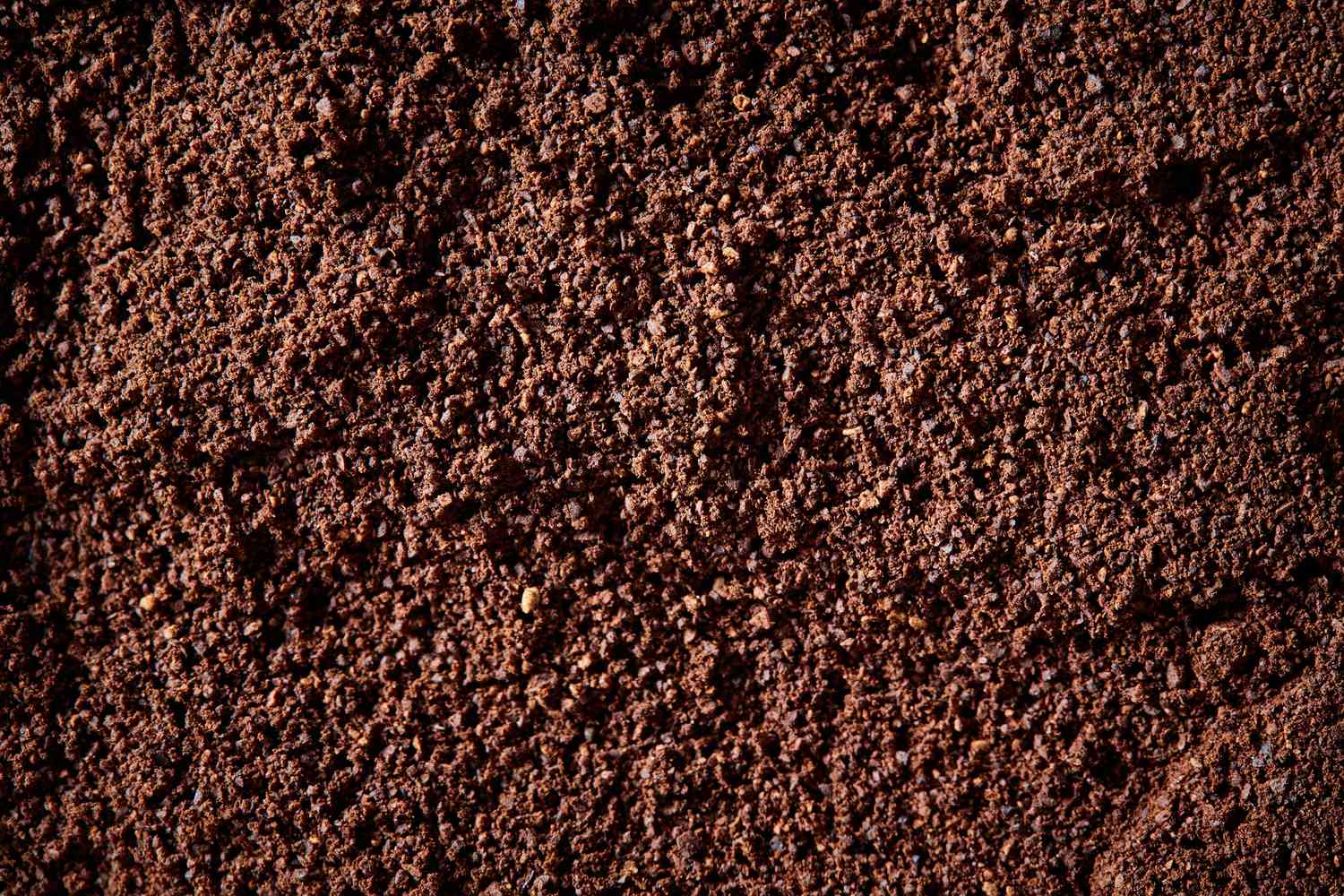Blood Meal