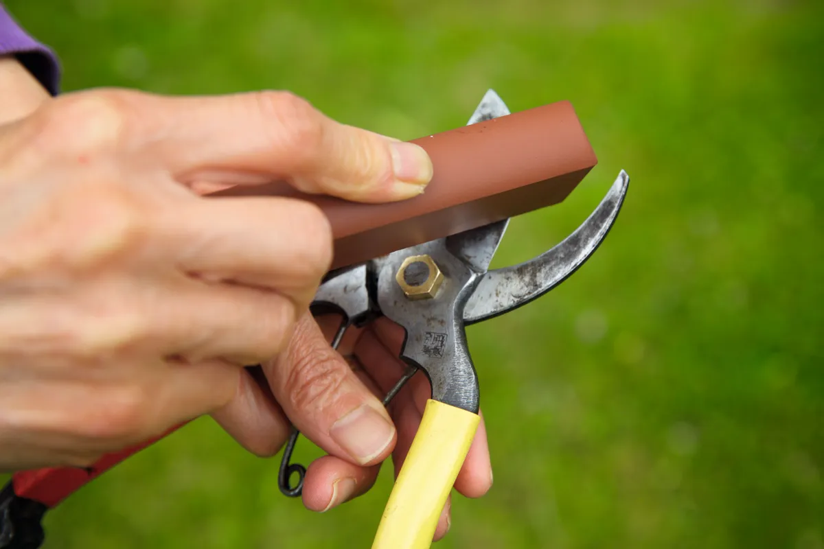 How to sharpen garden tools and essential sharpening tools