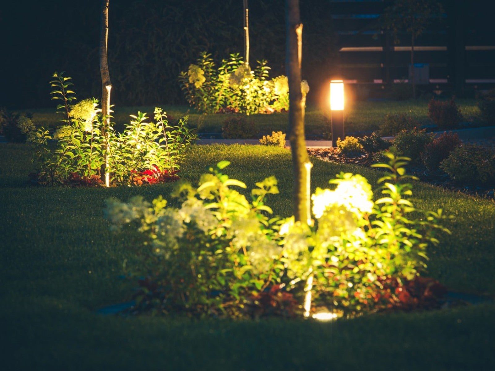 Does Night Lighting Harm Trees? | Gardening Know How