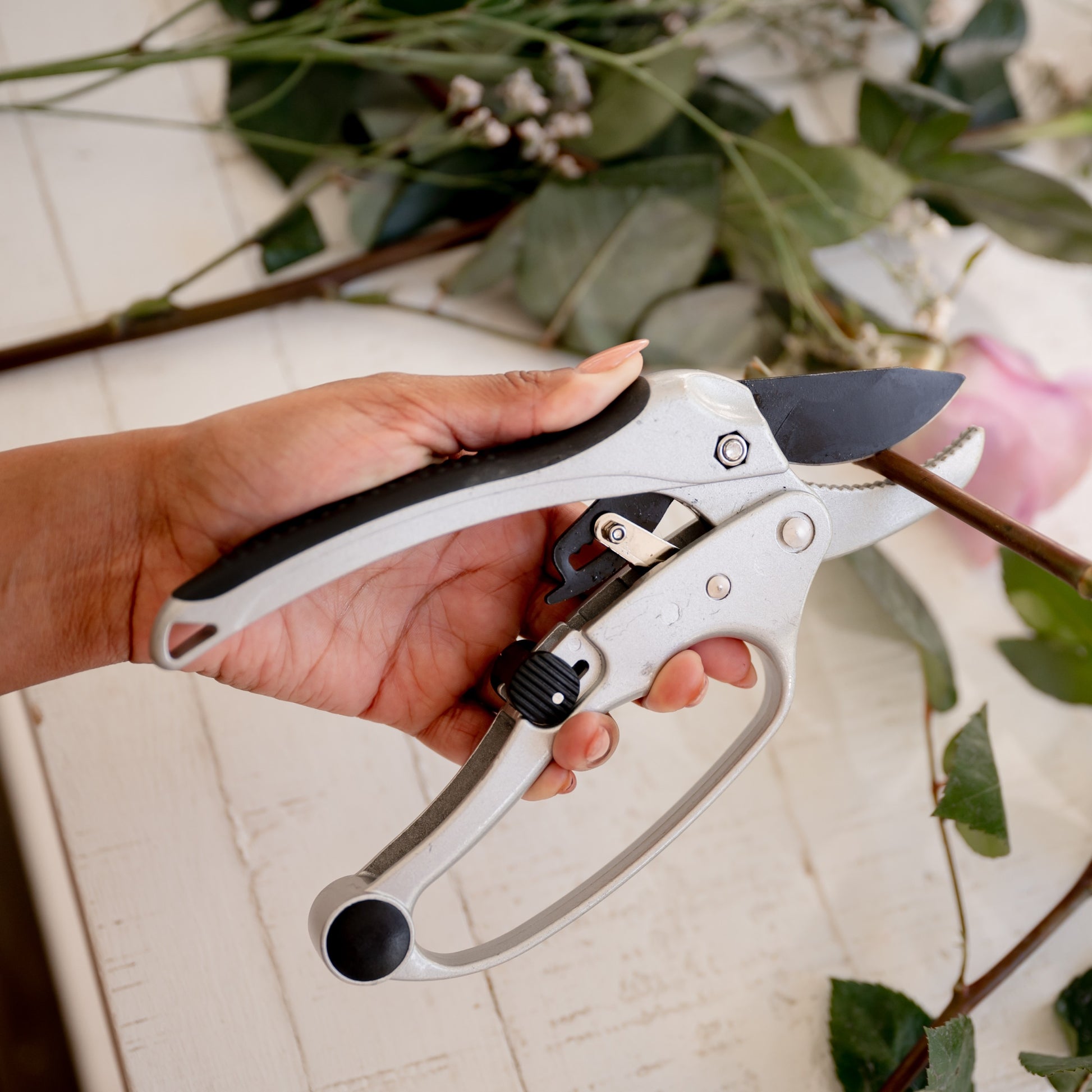 Ratchet Hand Pruners | Hoselink