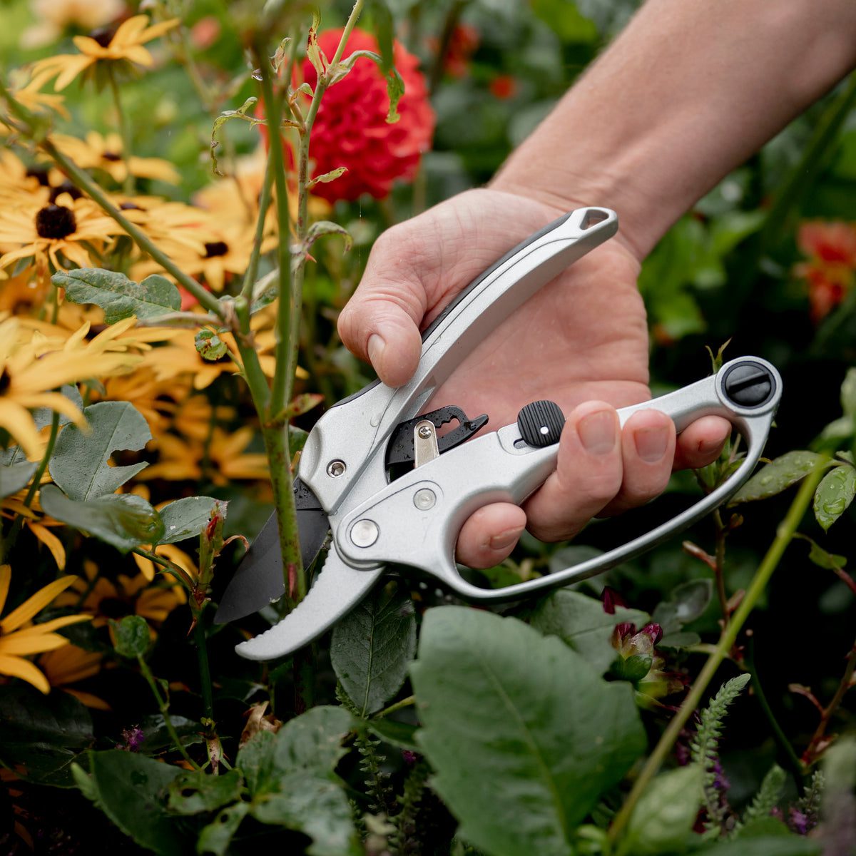 Ratchet Pruners – Hoselink USA