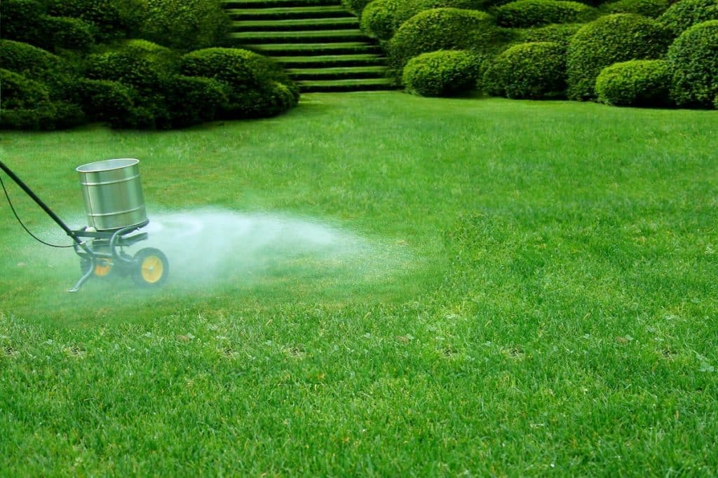 How to Fertilize Your Garden or Lawn in Late Fall | Treenewal