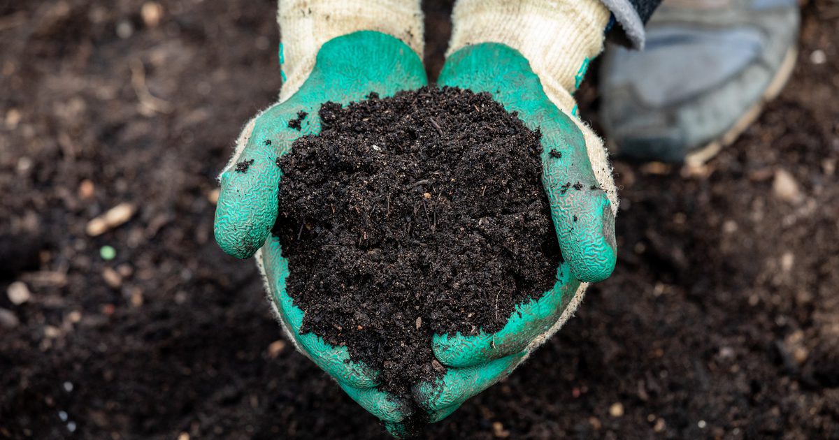 10 reasons to love your soil | Garden Organic