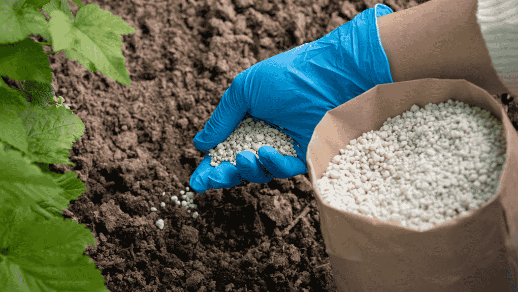 30-0-10 Fertilizer