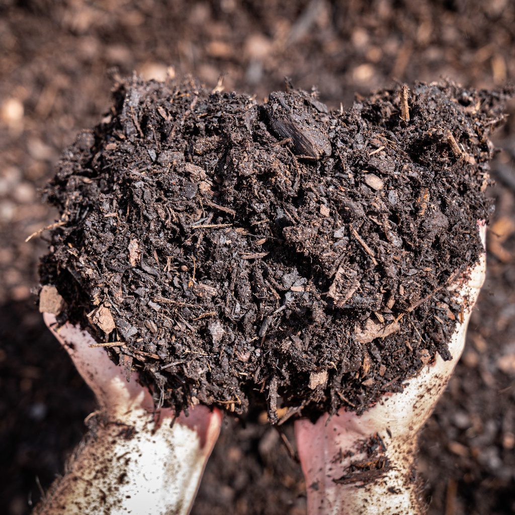 What is the Best Mulch? | Daisy's Blog