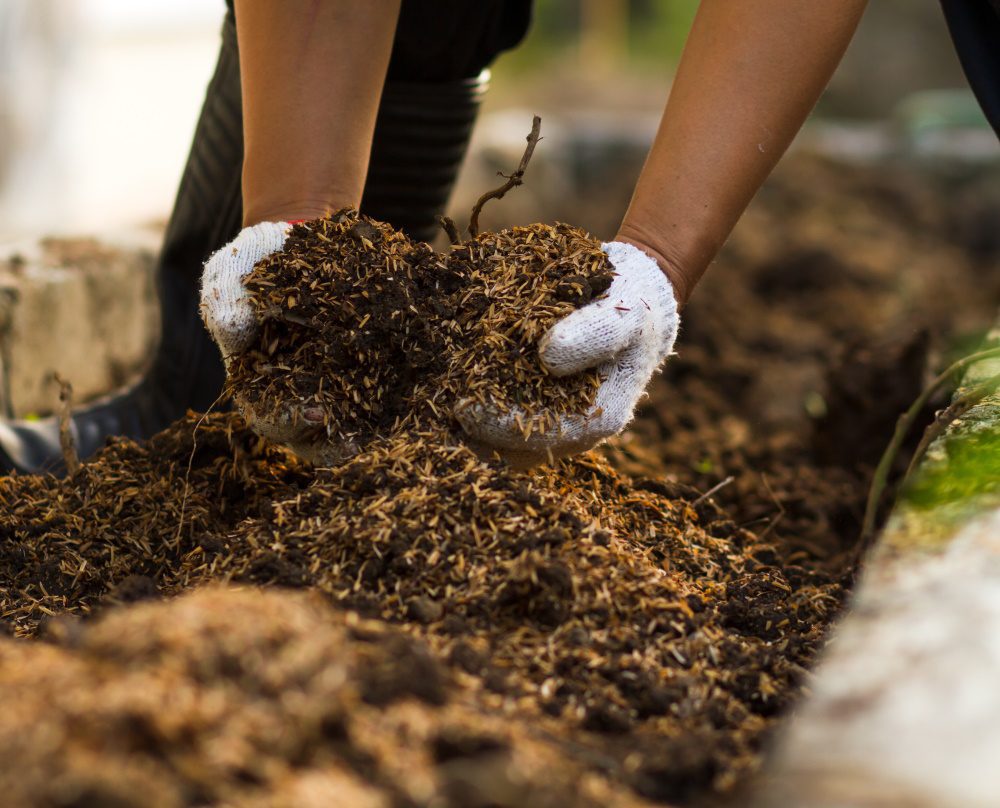 Compost in the Fall Garden: Why It's Important - The Coeur d'Alene Coop