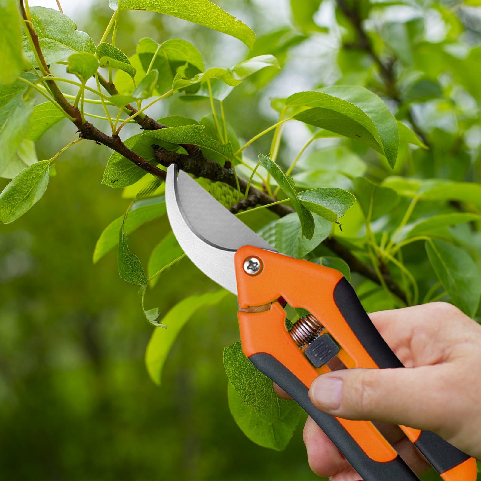 Quinlirra Clearance Garden Pruning Shears Stainless Steel Blades Handheld Pruners Effortless Cutting Ergonomic Handle Ratchet Mechanism for Flowers Shrubs Trees Landscaping - Walmart.ca