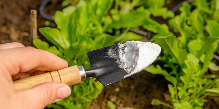 Pro Baking Soda Hacks: Simple Steps for Stunning Results
