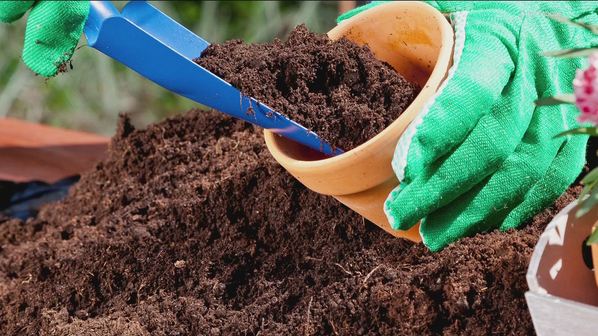 Potting Soil