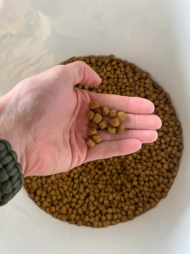 Cat Food