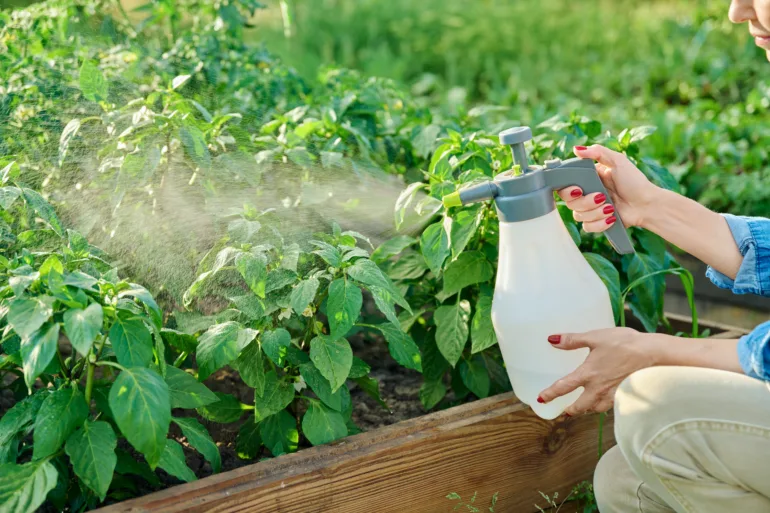 10 amazing ways to use baking soda in the garden: a natural solution for  healthy, lush and resilient plants | City Magazine
