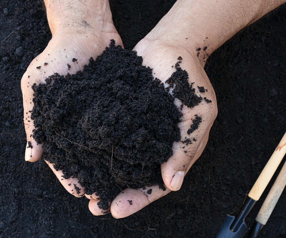 Topsoil