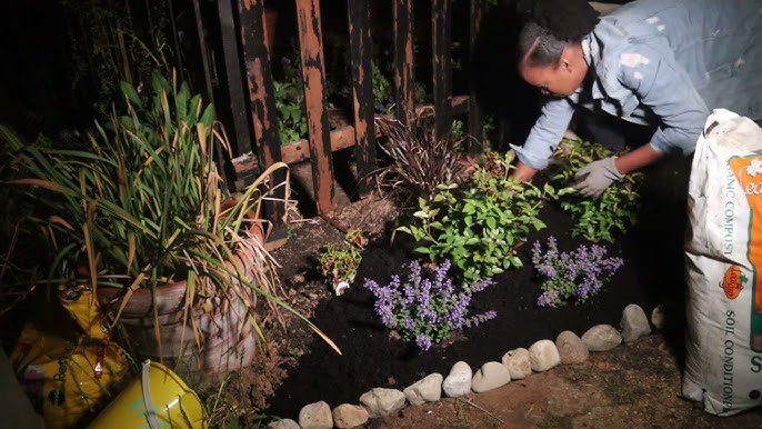 Gardening At Night! | GARDENADDICTZ