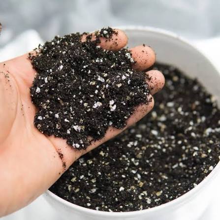What Are the White Balls in Potting Soil? Perlite Explained