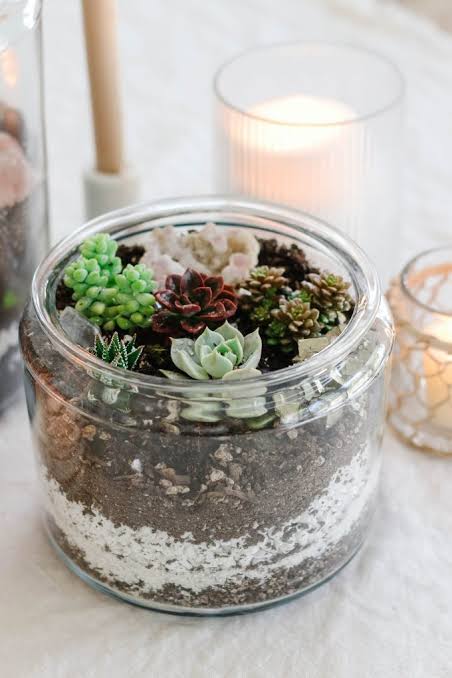 How To Make A Beautiful Succulent Terrarium - Modern Glam