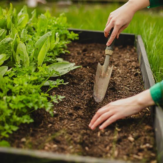 sinking soil in garden