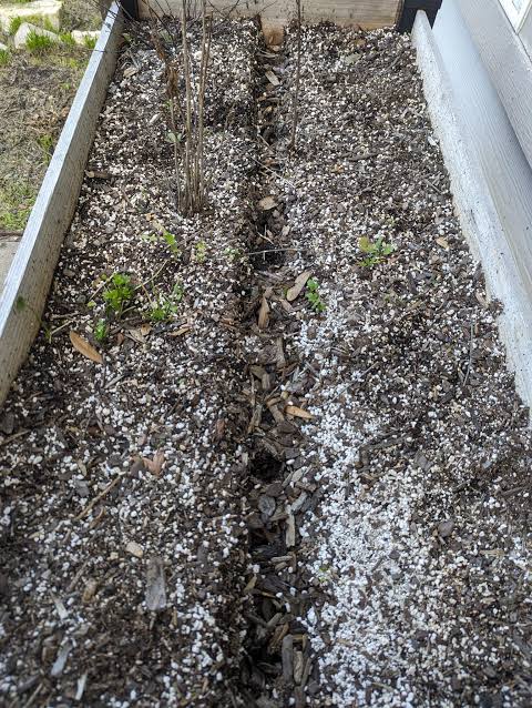 Help With Sinking Planter Soil : r/gardening