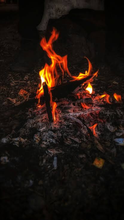 Burning fire on brown soil photo – Free Background Image on Unsplash