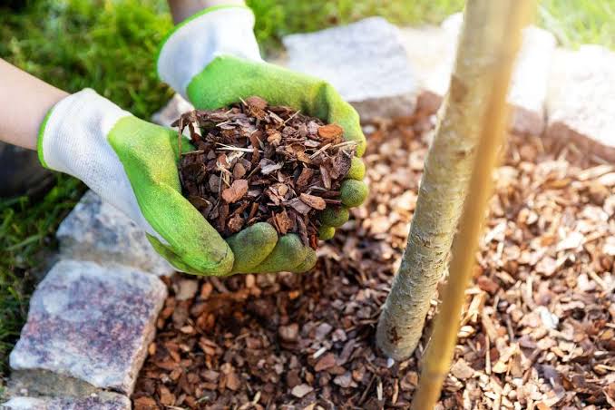 How To Prevent Mulch From Blowing Away? 5 Proven Methods - Flourishing Plants