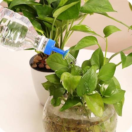 Bottle Top Watering Garden Plant Sprinkler Water Seed Seedlings Irrigation Buy cheaply on Joom