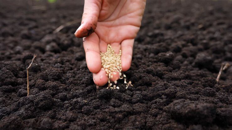 Hand planting seeds Videos - HD and 4K to download | Magnific