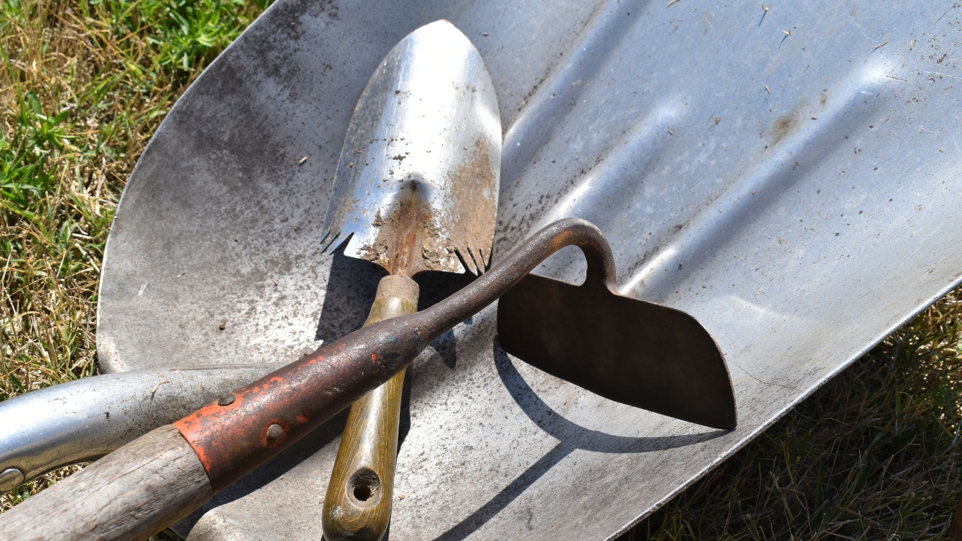 Expert shares five ways to use baking soda in your garden | Woman & Home