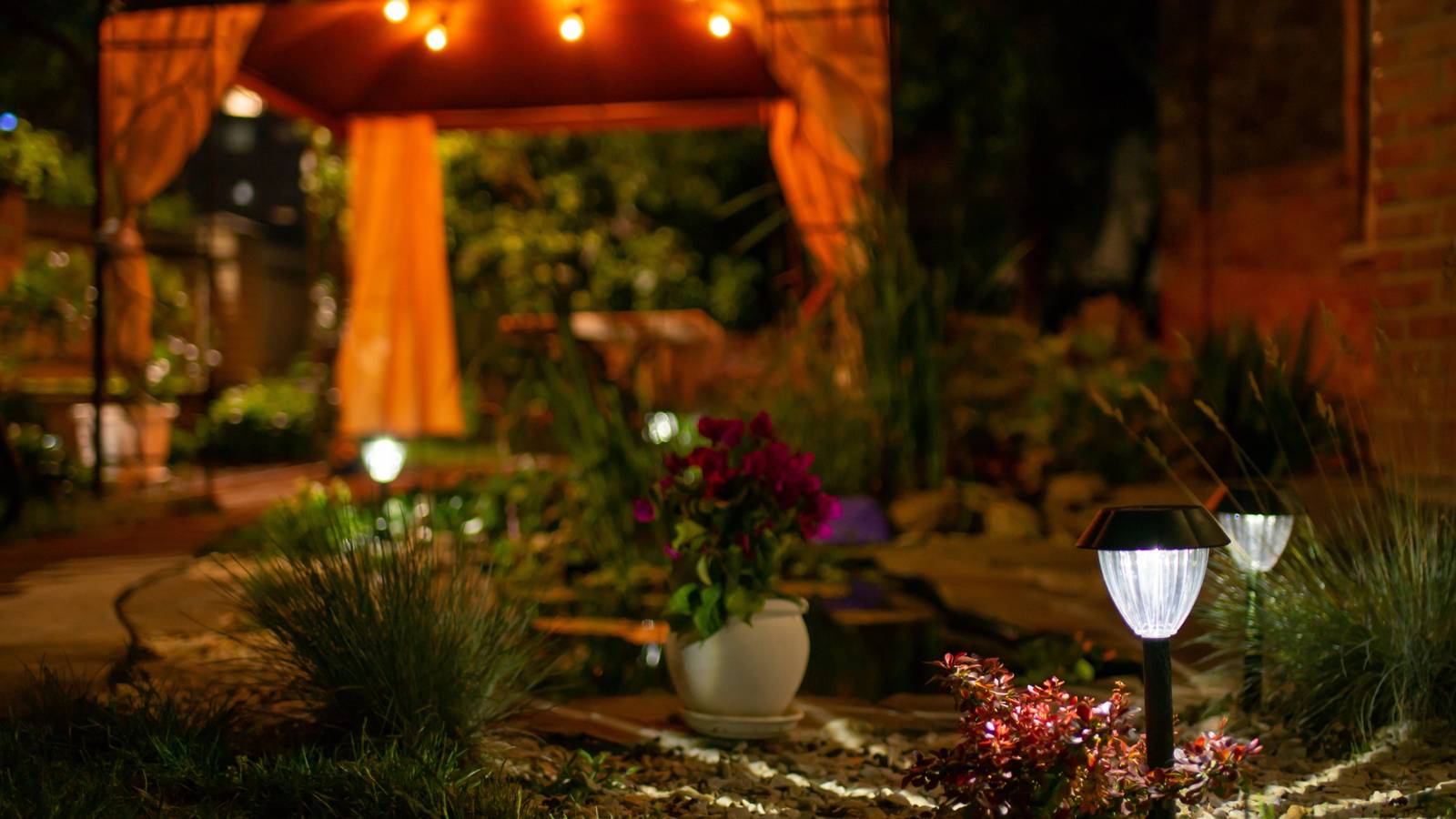 Outdoor Lighting and Plant Health: What You Need to Know