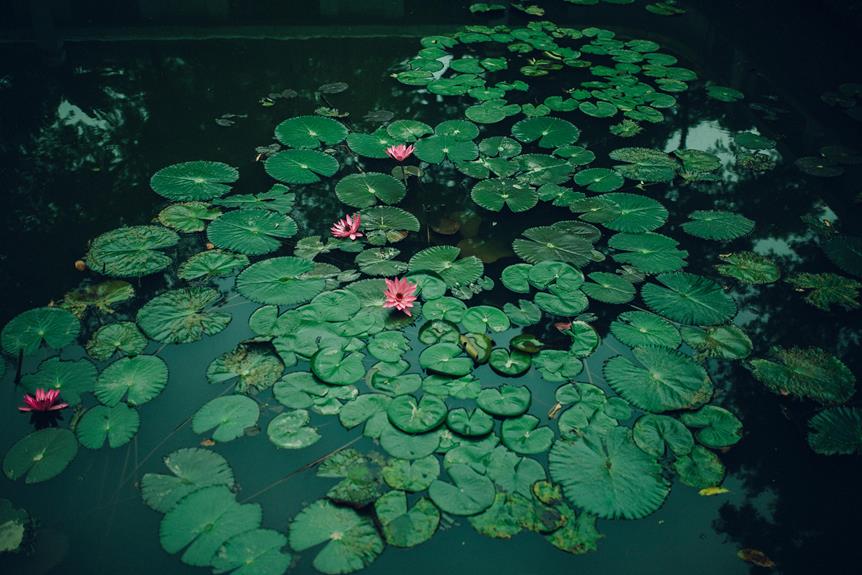 plants float due to their structure and buoyancy properties
