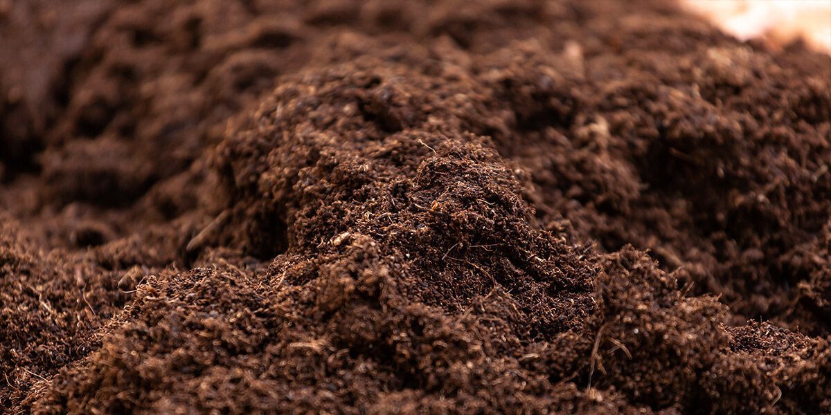 Garden Soil