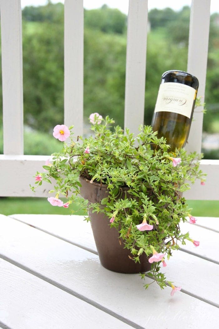 Using Wine on Plants