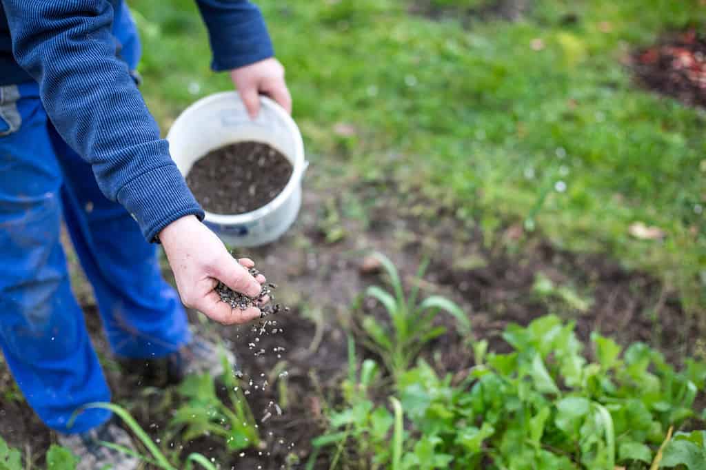 10 Steps to Make Sure Your Lawn Fertilizer Is Pet-Safe - A-Z Animals