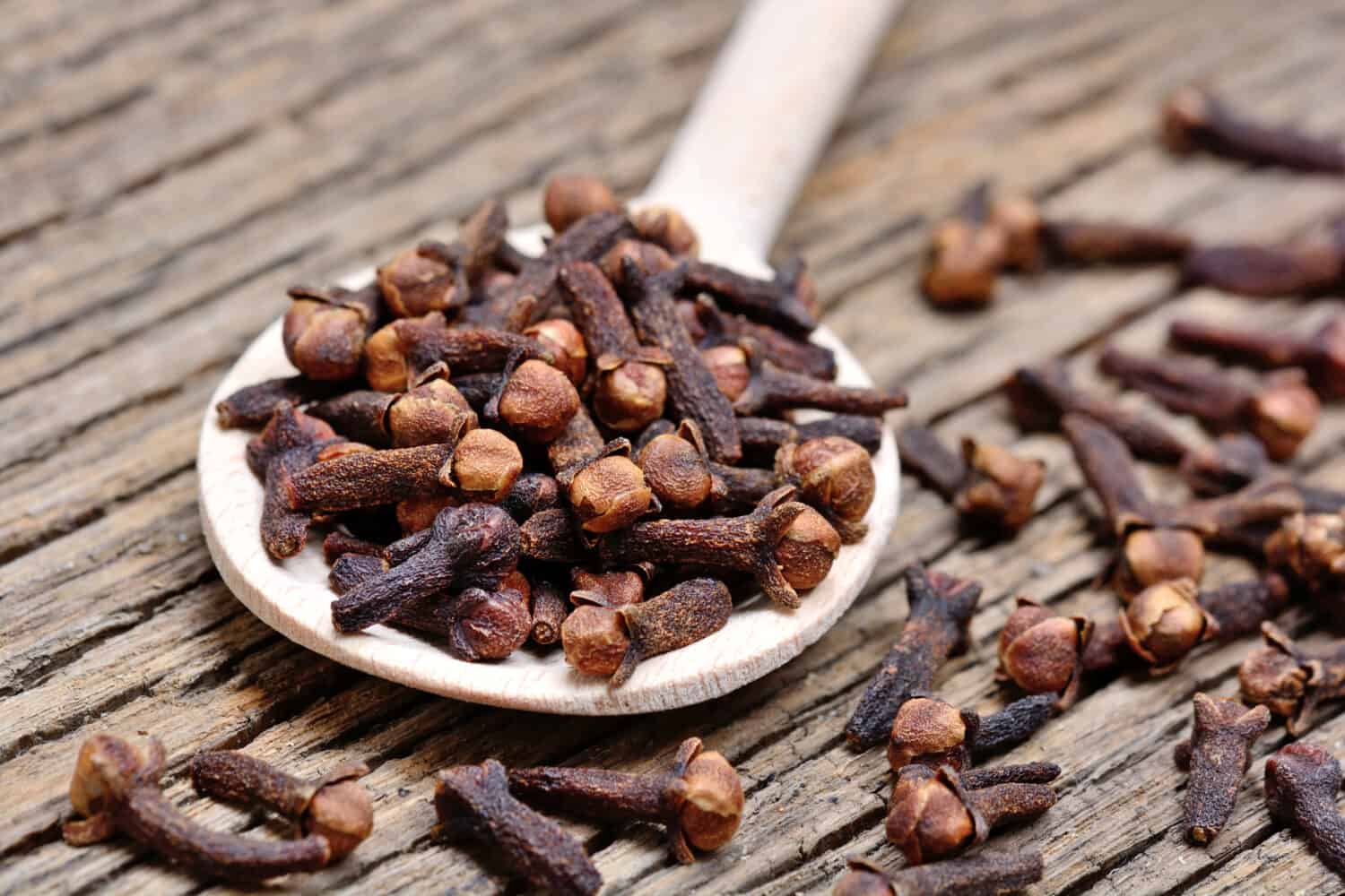 Discover 7 Smells That Bees Absolutely Hate - A-Z Animals