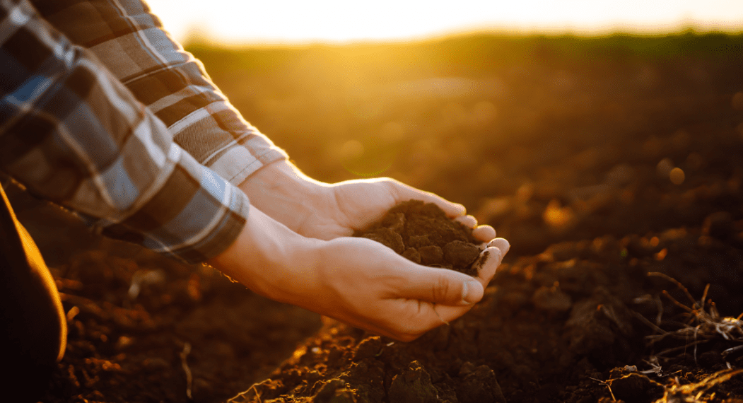 Soil